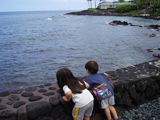vacation rental 4